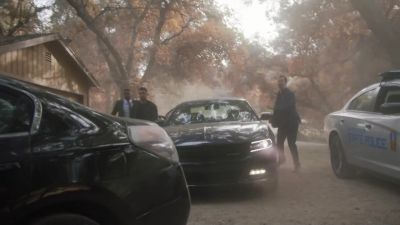 What the hell is this? - NCIS