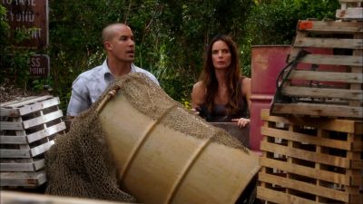 WHAT THE HELL WAS THAT? - Burn Notice