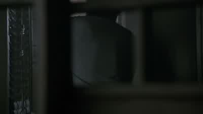 What the hell was that? - Teen Wolf