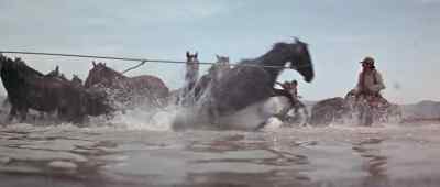 What the hell is wrong with them horses? - The Scalphunters