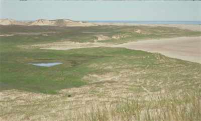 What is the logic behind
put horses in this spot? - Geographies of Solitude