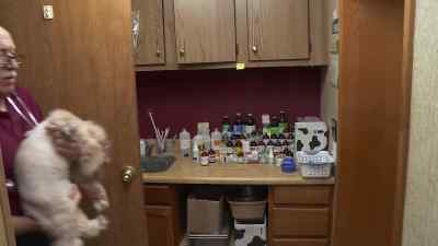 What was the pet's name? - The Incredible Dr. Pol
