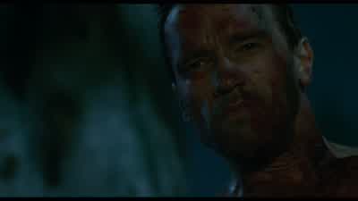 What the? - Predator