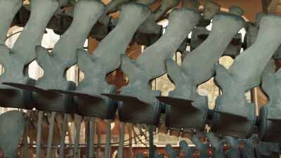 "What then was the explanation
for these gigantic bones - Exterminate All the Brutes