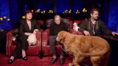 What is there, like, six mayor
cities in Ohio and nothing else? - The Osbournes Want to Believe