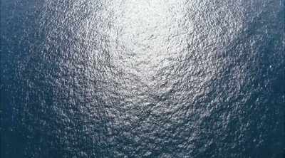 WHAT THEY DISCOVER
IS EXTRAORDINARY, - Mysteries of the Deep