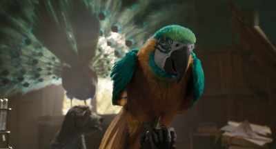 - What if they need help?
- (knocking at door) - Dolittle
