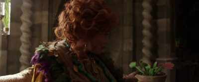 What you think are their flowers - Wonderwell