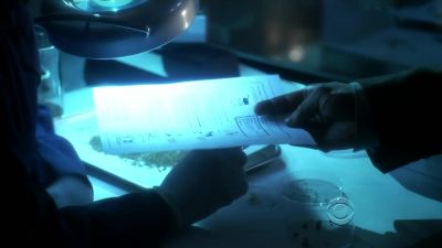 What is this? - CSI: Crime Scene Investigation
