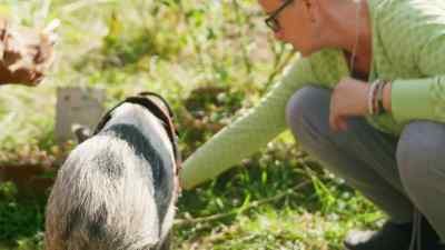 What was very surprising for me, first of all, - Pignorant