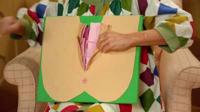 What we want to do is pin back
the labia like so. - At Home with Amy Sedaris