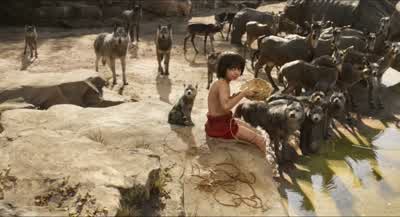 What was the rule about your tricks? - The Jungle Book