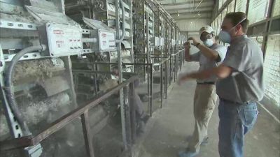 WHAT WE DO, MIKE IS WE KEEP
AN EYE ON THE BELT - Dirty Jobs