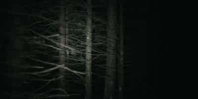 - What we gonna do? - The Ritual