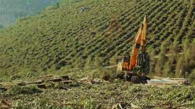 What we're being told
by the logging industry is that - Bring Your Own Brigade