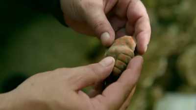 What we're getting out of this, you
know, garbage dump essentially, - Lost Treasures of the Maya