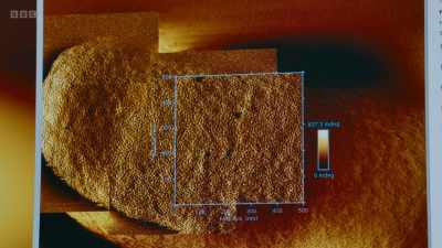What we're looking at here
is bacteria skin - Secrets of Size: Atoms to Supergalaxies