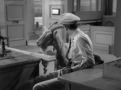 WHAT -- WHAT ARE YOU
DOIN' IN HERE? - The Andy Griffith Show