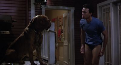 What What is it What What - Turner &amp; Hooch