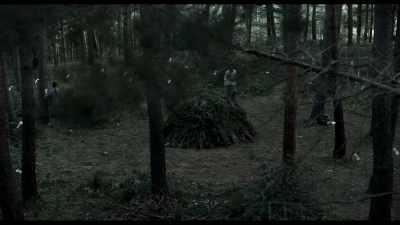 What will happen
when the sarira casket is open? - The 8th Night