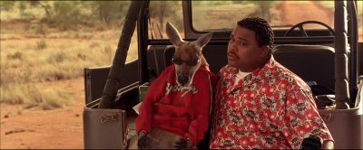 What is with these camels - Kangaroo Jack