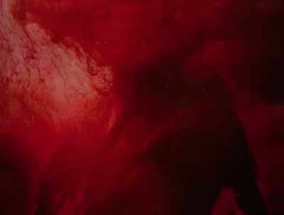 What would have happened
to the body otherwise? - American Werewolves
