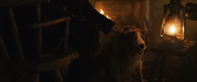 What would I ever hurt you for? - The Banshees of Inisherin