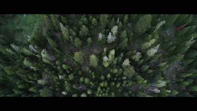 What would their equivalent of consciousness be? - The Most Unknown