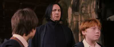 What would three young Gryffindors... - Harry Potter and the Sorcerer's Stone