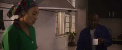 What were you doing before this? - The Domestic