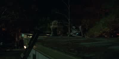 -What you reading? - Ozark