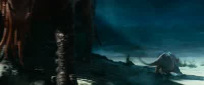 What, you rescue these creatures? - Fantastic Beasts and Where to Find Them