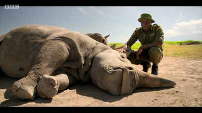 "What were you thinking?!" - Extinction: The Facts