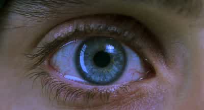 What you've always wanted. - Requiem for a Dream