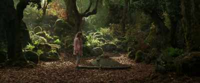 What
you've been looking for. - Wonderwell