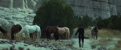 - What'd he say? - The Magnificent Seven