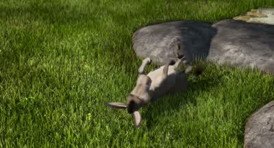 What'd I miss? - Shrek
