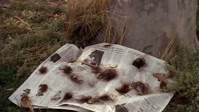 What'd you call me? - Malcolm in the Middle
