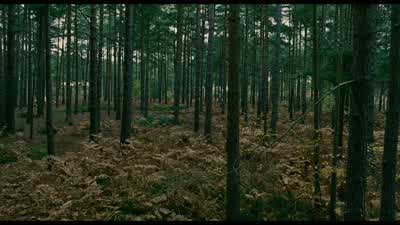 - What'd you do on your birthday? - Children of Men