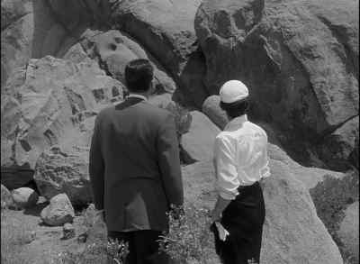 - Whatever could have started it?
- I don't know. - Tarantula