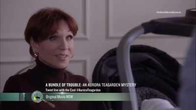 Whatever happened - A Bundle of Trouble: An Aurora Teagarden Mystery