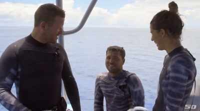 Whatever happens, they want to record
it from as many angles as possible - Shark Attack Files