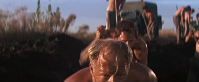 Whatever I done - Cool Hand Luke