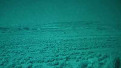 Whatever it is not giving off
any heat signature, - Jack Osbourne's Night of Terror: UFOs