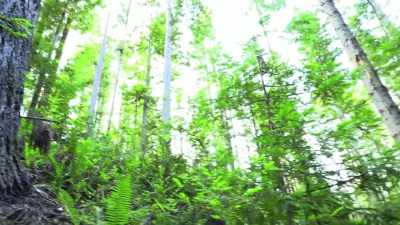  Whatever it was that made
 this thermal trace... - Expedition Bigfoot