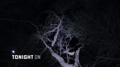 Whatever you see,
it's a very good chance - Beyond Skinwalker Ranch