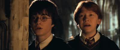 Whatever shed this must be60 feet long. - Harry Potter and the Chamber of Secrets