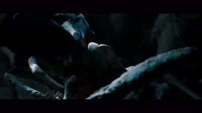 Whatever this is, it's been dead a while. - Alien vs  Predator