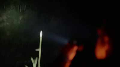 Whatever is up there - Expedition Bigfoot