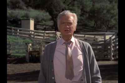 Whatever you want, Howard. - Barnaby Jones
